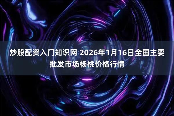 炒股配资入门知识网 2026年1月16日全国主要批发市场杨桃价格行情