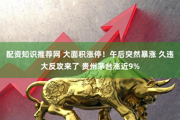 配资知识推荐网 大面积涨停！午后突然暴涨 久违大反攻来了 贵州茅台涨近9%